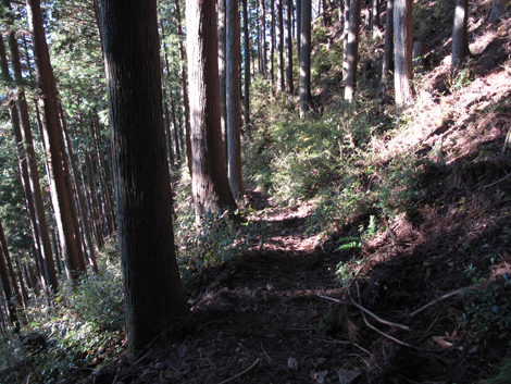 20181115hike (337)